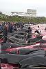 Massacro di delfini Calderones nelle isole Feroe (Danimarca)-image009-jpg
