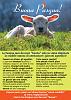 A Pasqua non mangiare l'agnello, non mangiare nessun animale-loc_news_buona_pasqua_400-jpg