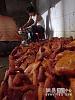Polli cinesi: attenzione alla carne importata dalla Cina!-07-jpg