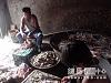 Polli cinesi: attenzione alla carne importata dalla Cina!-11-jpg