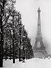 Qualcuno ha avuto esperienze con la terapia Sutent?-la-torre-eiffel-jpg